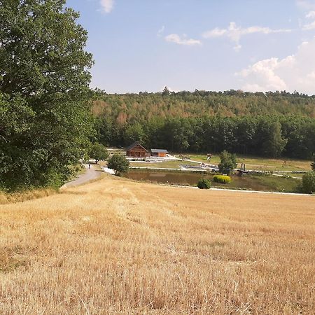 Residenz Moselstausee Sankt Aldegund Exterior foto